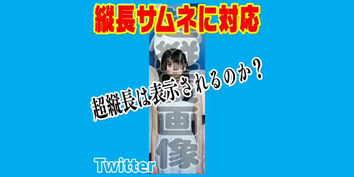 Twitterが縦長サムネに対応したから使ってみた 結論 限度はある 情報保管庫 R Kunのブログ