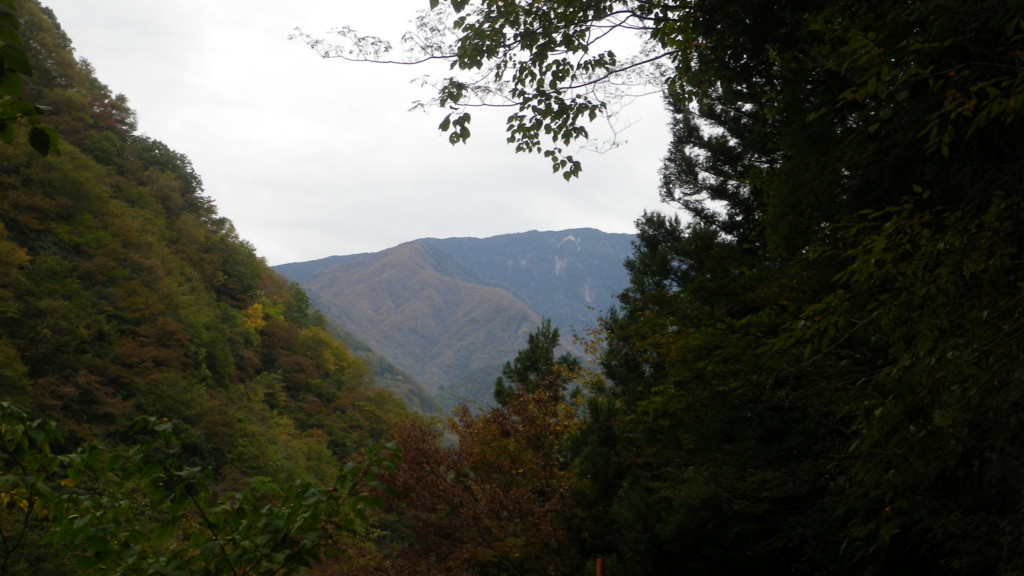 f:id:R1100GS97:20111030115828j:image