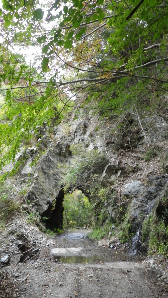 f:id:R1100GS97:20111030120002j:image