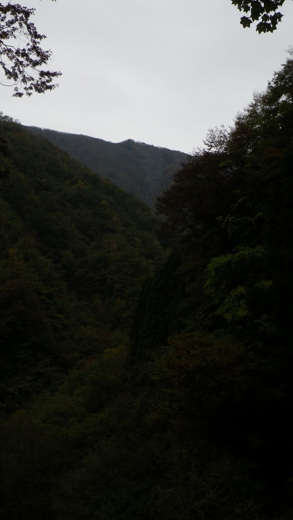 f:id:R1100GS97:20111030124115j:image
