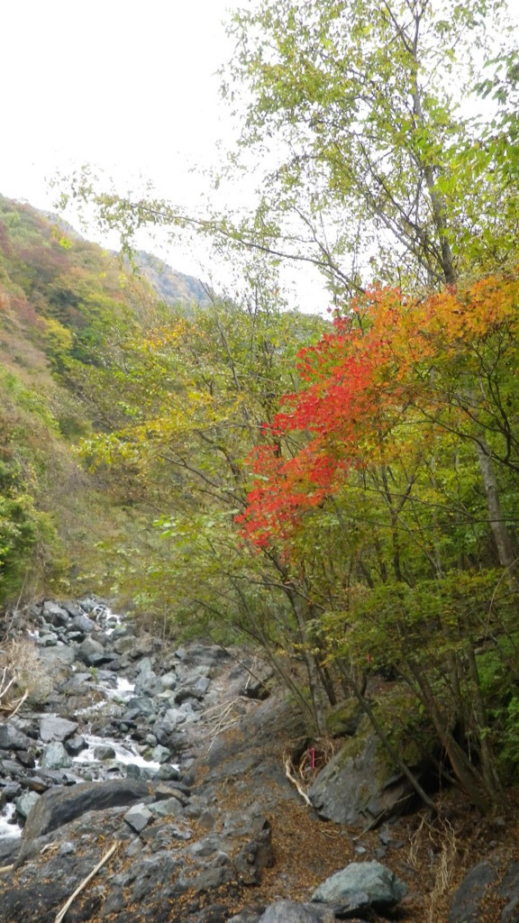 f:id:R1100GS97:20111030125704j:image