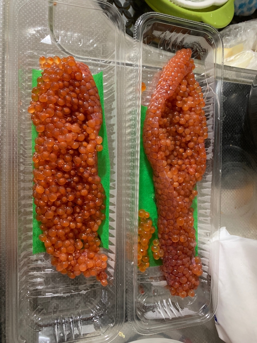 f:id:R32kuma-san:20190911233227j:plain f:id:R32kuma-san:20190911233227j:plain