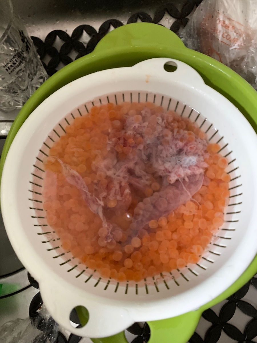 f:id:R32kuma-san:20190911234104j:plain f:id:R32kuma-san:20190911234104j:plain