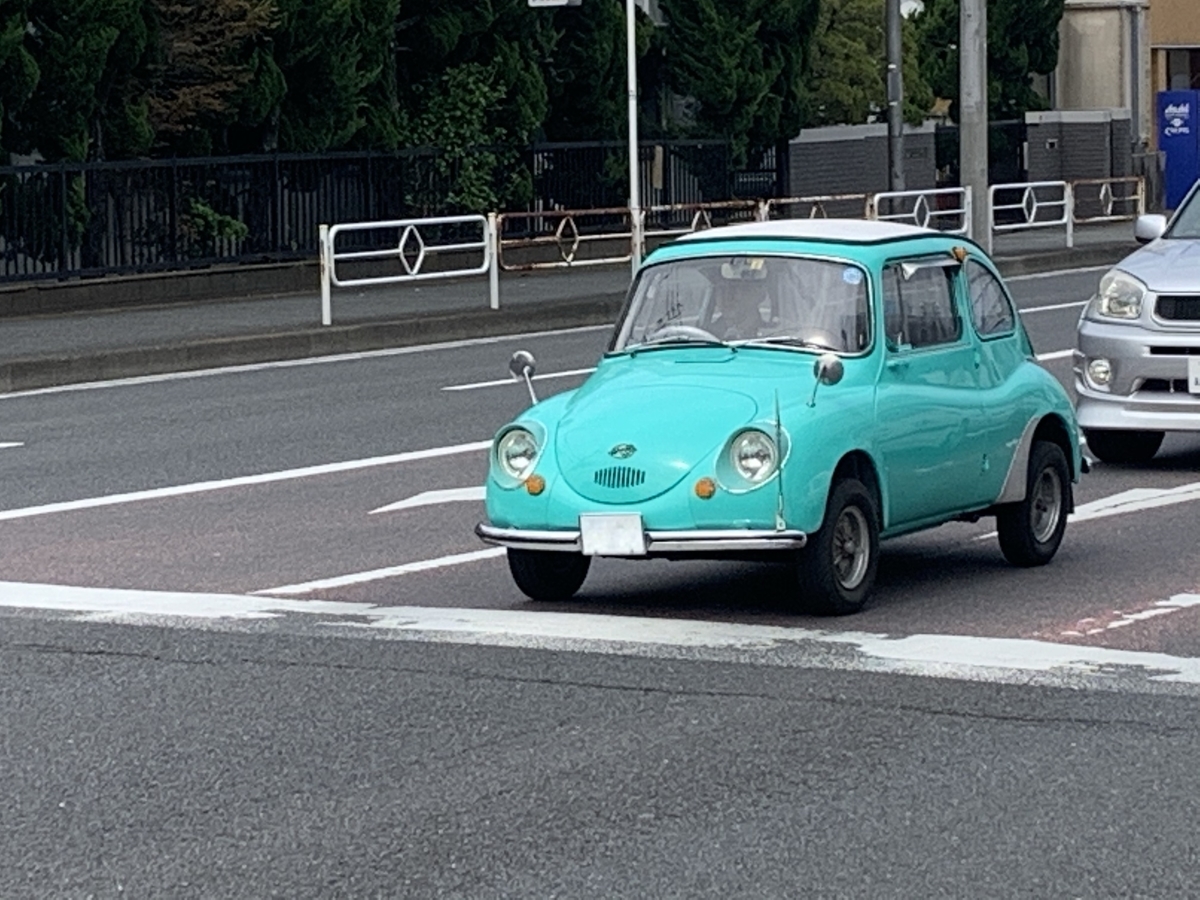 てんとう虫と桜 クマとスカイライン