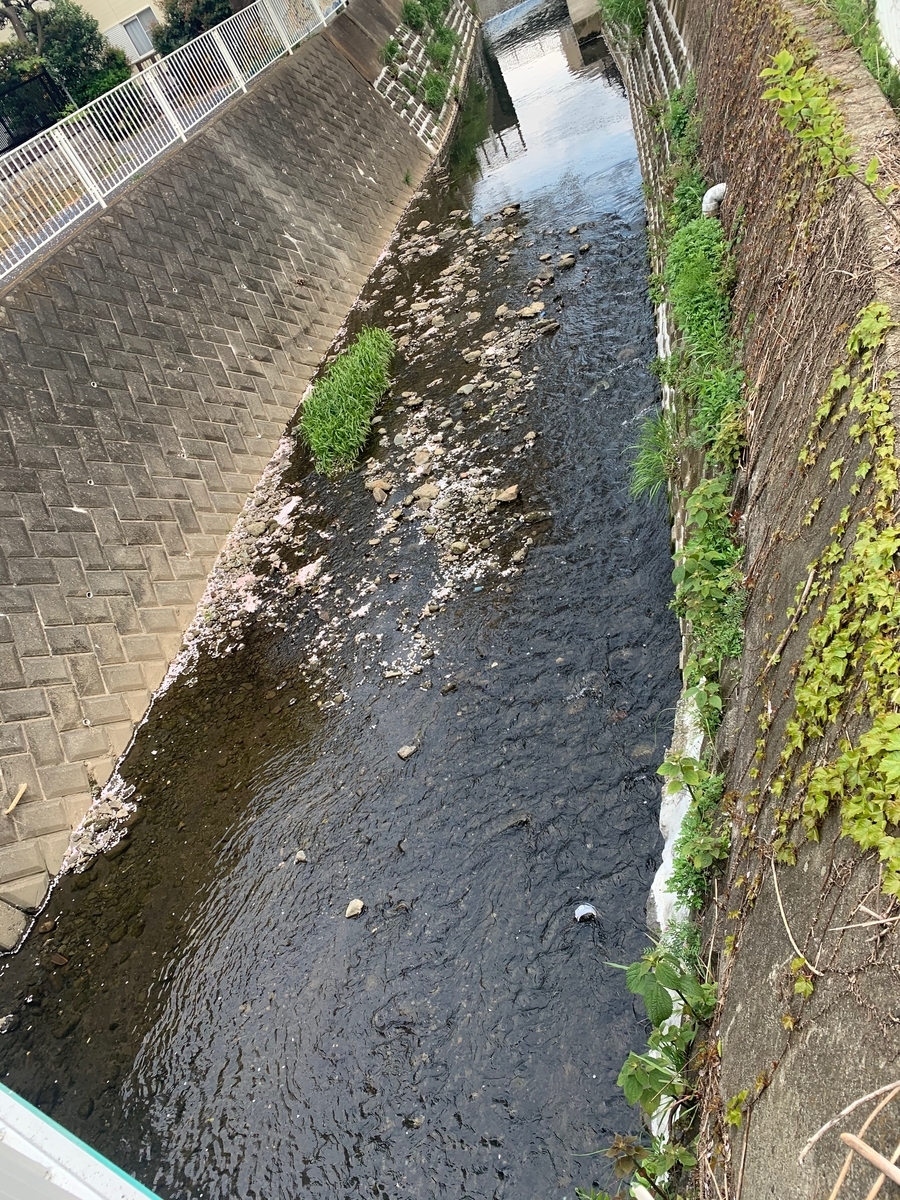 f:id:R32kuma-san:20200406062524j:plain