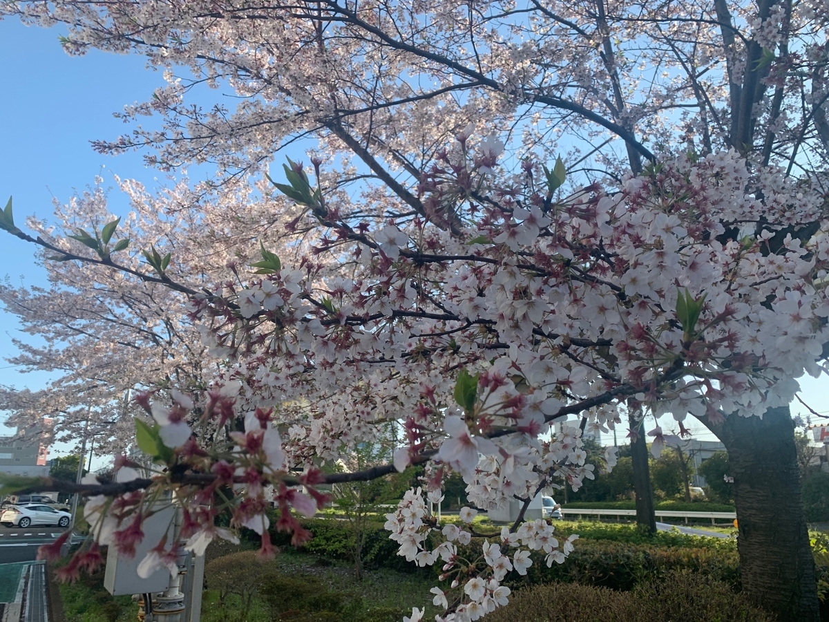 f:id:R32kuma-san:20200407071638j:plain