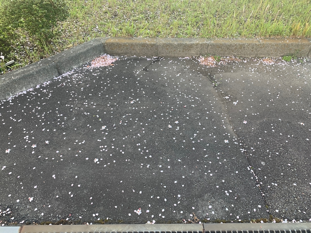 f:id:R32kuma-san:20200407071725j:plain