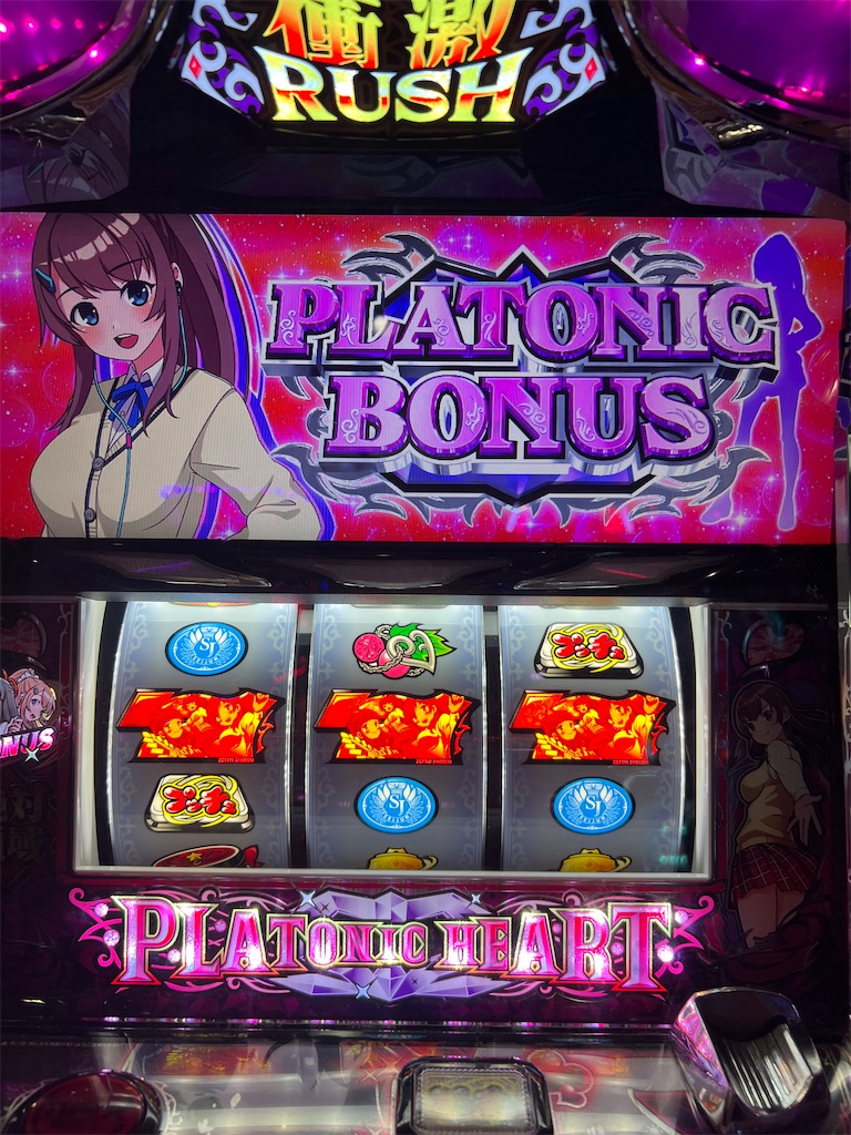 冬のボーナス確定 クマとスカイライン