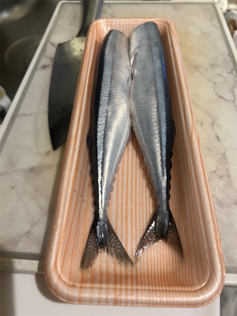 f:id:R32kuma-san:20250926145906j:image