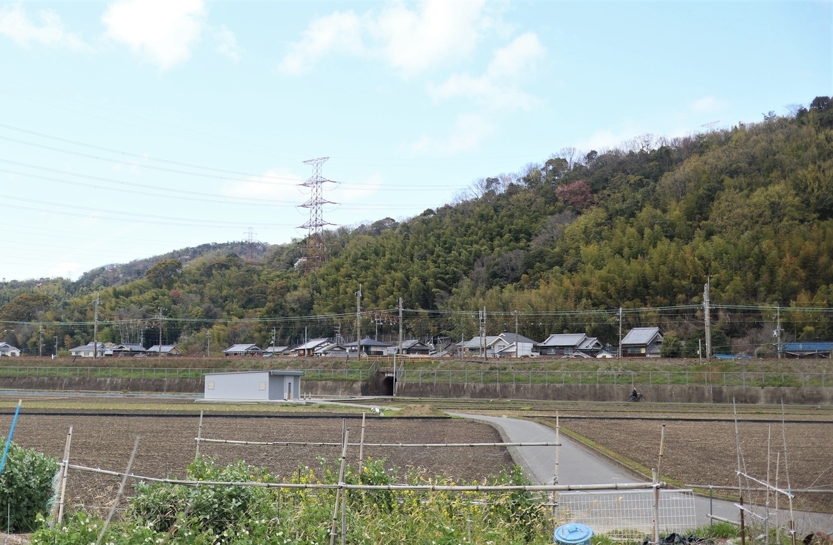 f:id:RAKu:20200329225142j:plain f:id:RAKu:20200329225142j:plain