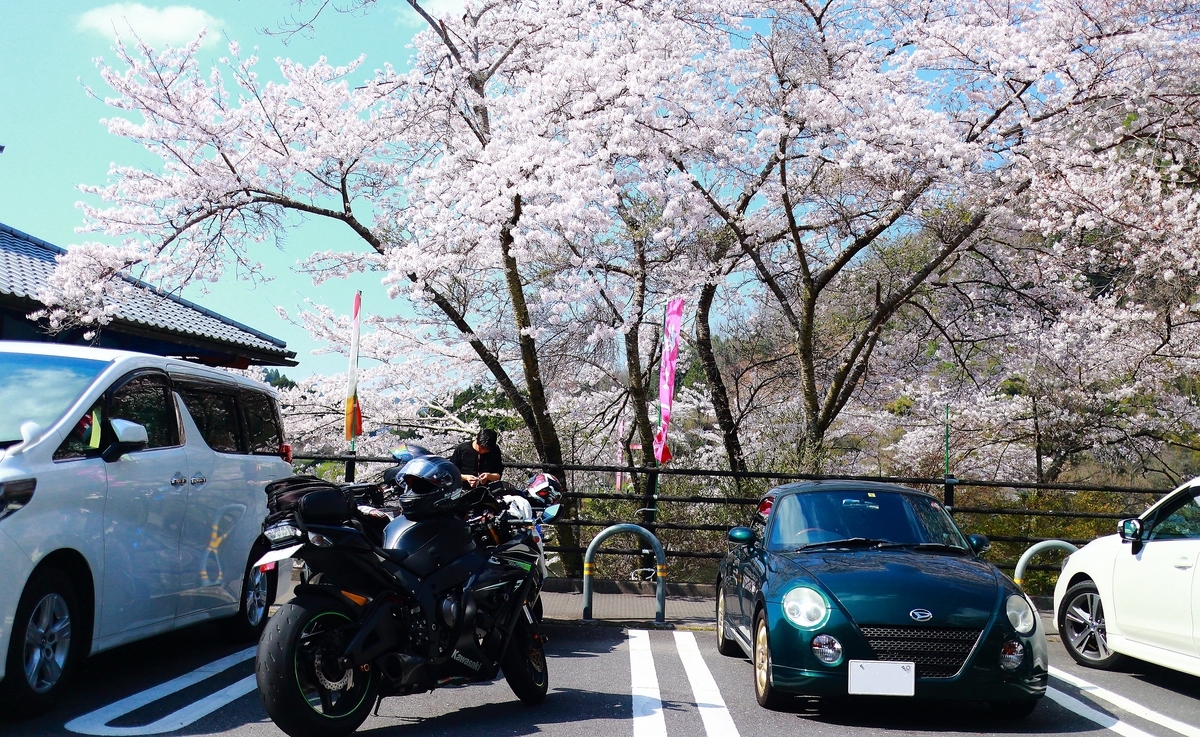 f:id:RAKu:20200425050555j:plain f:id:RAKu:20200425050555j:plain