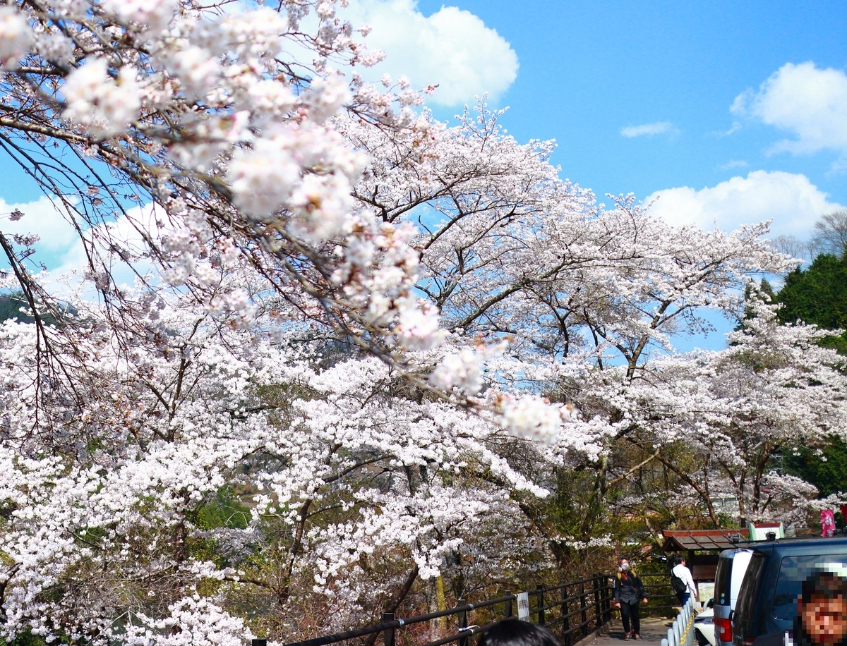 f:id:RAKu:20200425050617j:plain f:id:RAKu:20200425050617j:plain