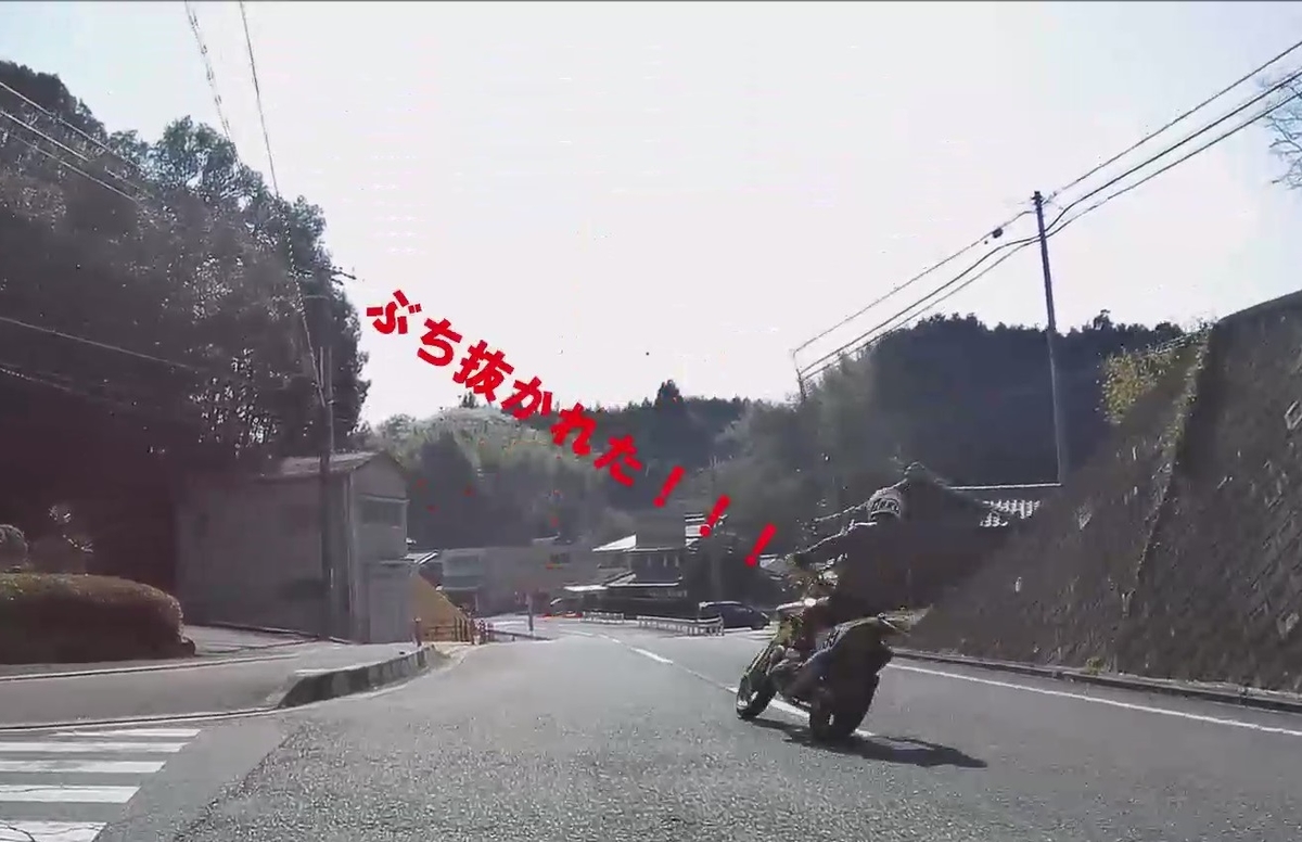 f:id:RAKu:20200502153232j:plain f:id:RAKu:20200502153232j:plain