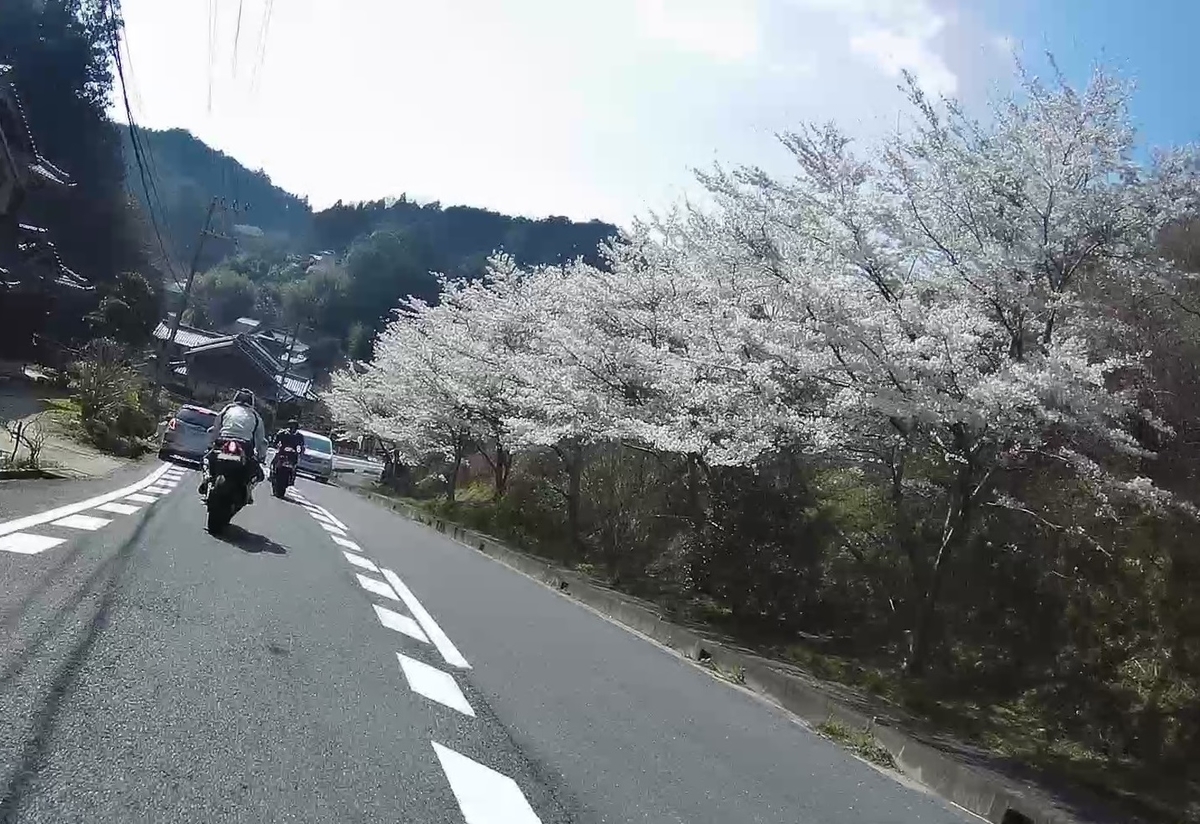 f:id:RAKu:20200502153316j:plain f:id:RAKu:20200502153316j:plain