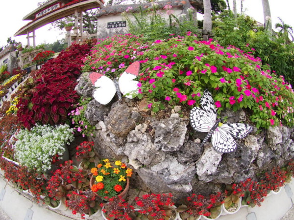 f:id:RANA_sp:20130422223924j:image f:id:RANA_sp:20130422223924j:image