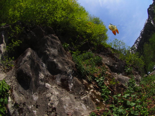 f:id:RANA_sp:20130525130729j:image f:id:RANA_sp:20130525130729j:image