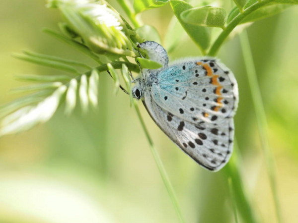 f:id:RANA_sp:20130528233702j:image f:id:RANA_sp:20130528233702j:image