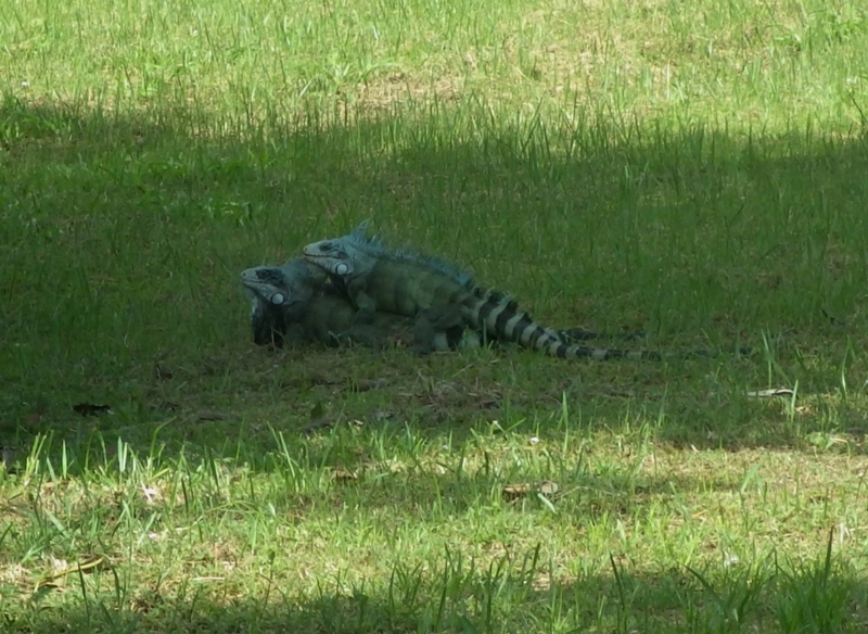 f:id:RANAway:20150517052327j:image:w640