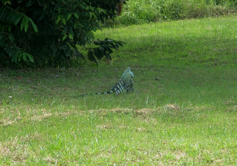f:id:RANAway:20150517052329j:image:w640