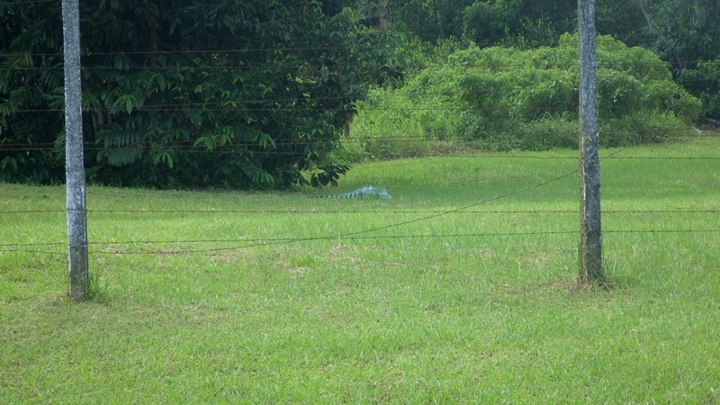 f:id:RANAway:20150517052330j:image:w640