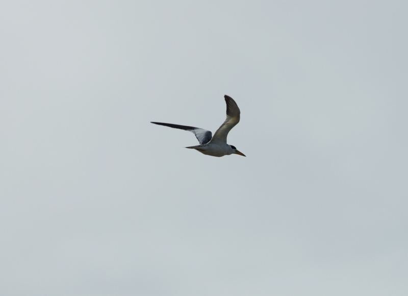 f:id:RANAway:20150531181029j:image:w640