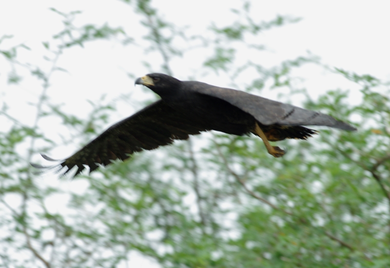 f:id:RANAway:20150531184349j:image:w640