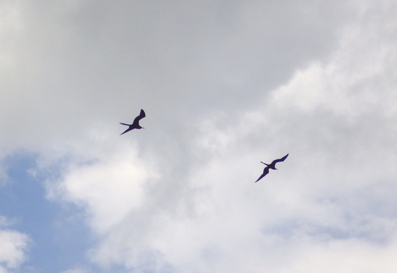 f:id:RANAway:20150606062544j:image:w640