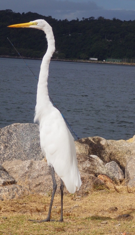 f:id:RANAway:20150606062546j:image:w360