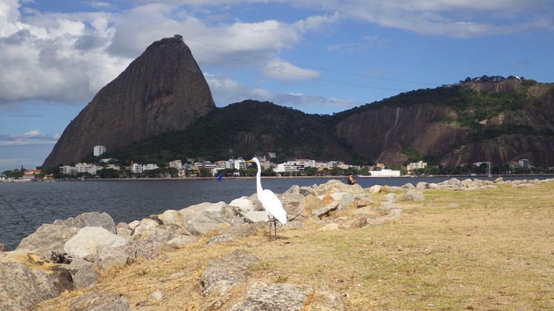 f:id:RANAway:20150606062548j:image:w640
