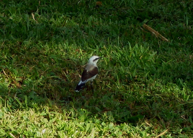 f:id:RANAway:20150606064240j:image:w640
