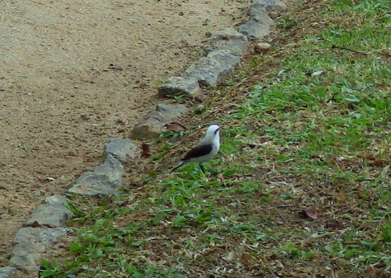 f:id:RANAway:20150606064241j:image:w640
