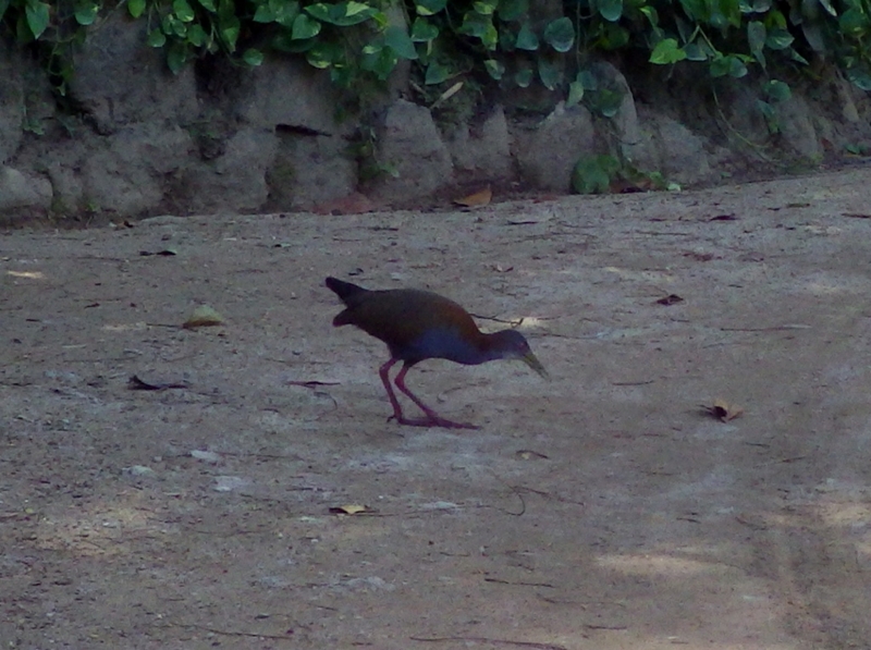 f:id:RANAway:20150606064246j:image:w640