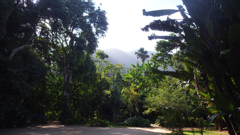 f:id:RANAway:20150606064247j:image:w640