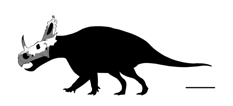 恐竜 ヴェロキラプトル3Dモデル - TurboSquid 1590495