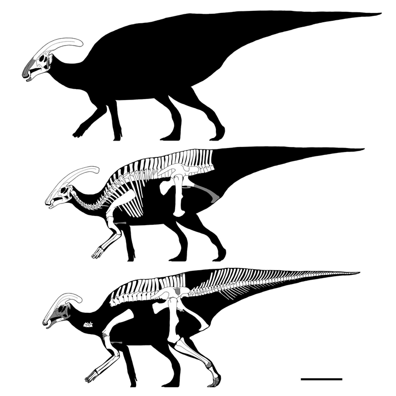 ララミディアのトロンボーン吹き - GET AWAY TRIKE !