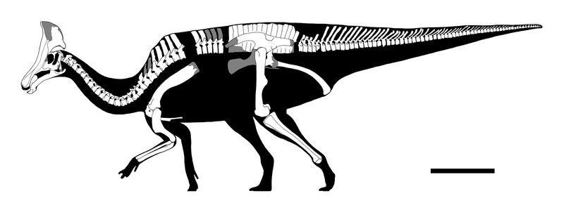 黒い河に白く - GET AWAY TRIKE !