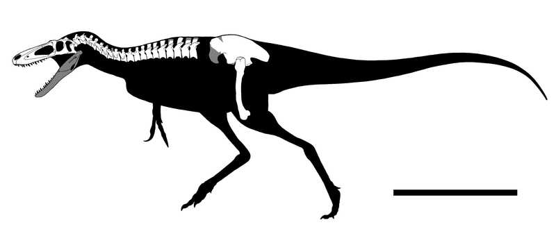きょうりゅう Fire-breathing dinosaur, primitive Kaiju Series, 6 horns
