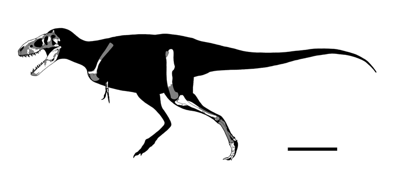 オルシェフスキーの呪い子 - GET AWAY TRIKE !