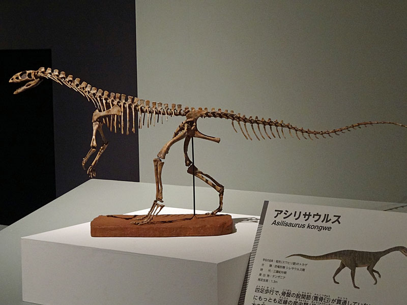 恐竜博2016レポ - GET AWAY TRIKE !