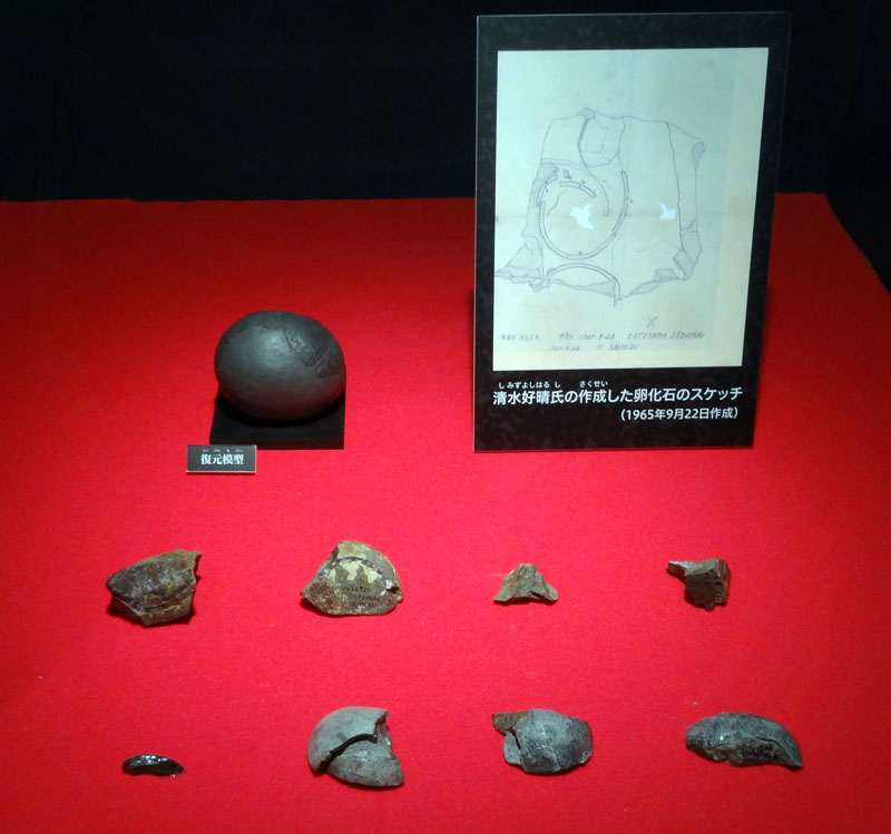 イメージ 33