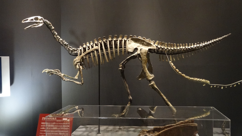 大恐竜展のレポらしきもの 前編 - GET AWAY TRIKE !