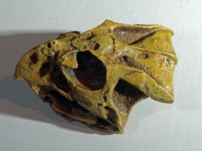 恐竜を発見した伝説ルアンプーハー師の神秘の指輪　プラクルアン　19号　恐竜 死者の王、ザル・アシュール (Zul Ashur, Lich Lord