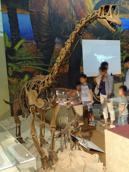 イメージ 12