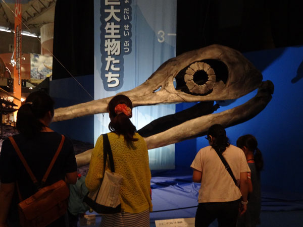 イメージ 7