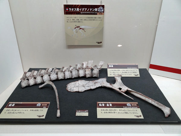 イメージ 14