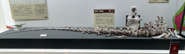イメージ 17