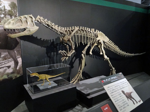 イメージ 10