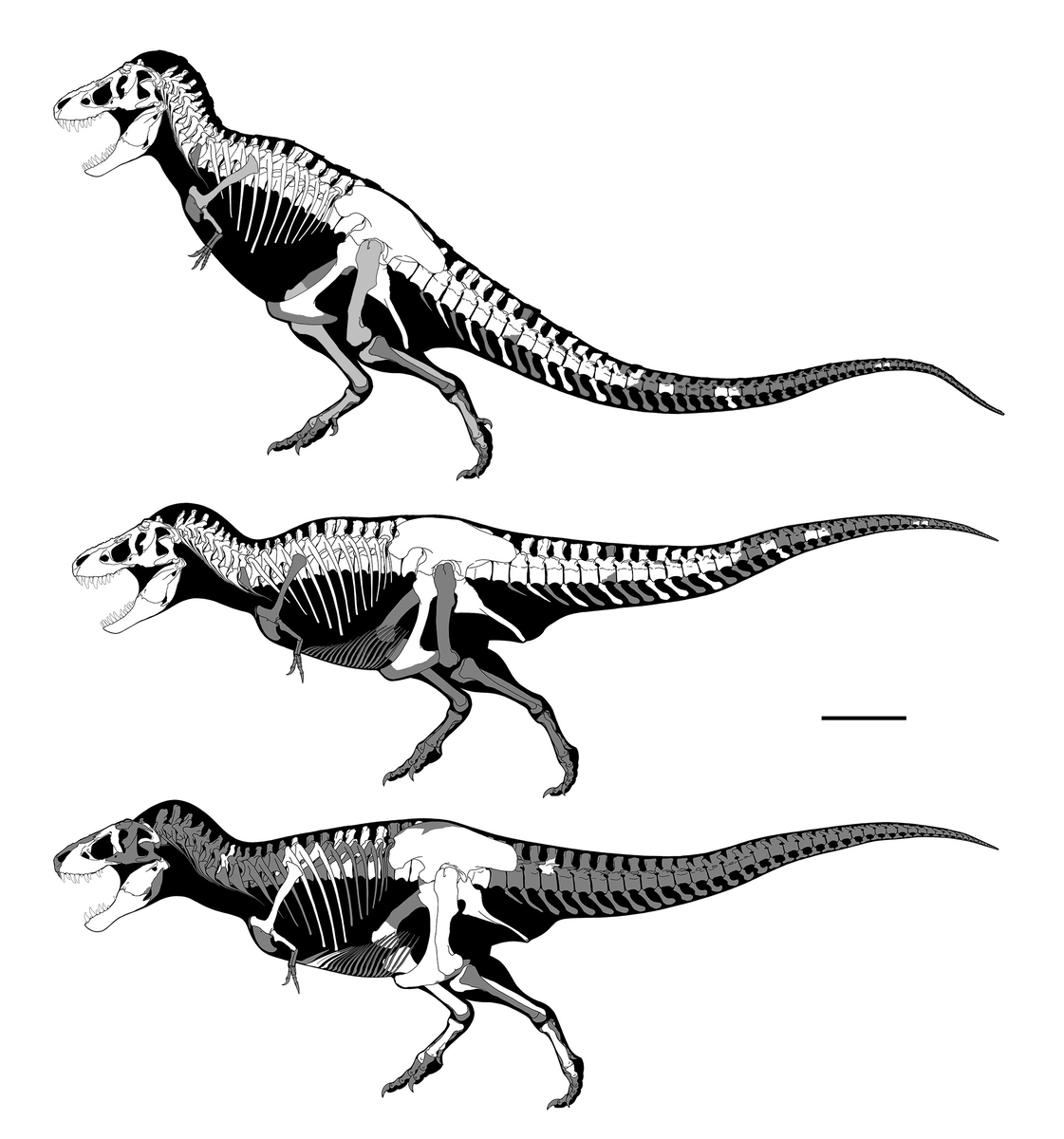 最初の一人は慣れてるから - GET AWAY TRIKE !