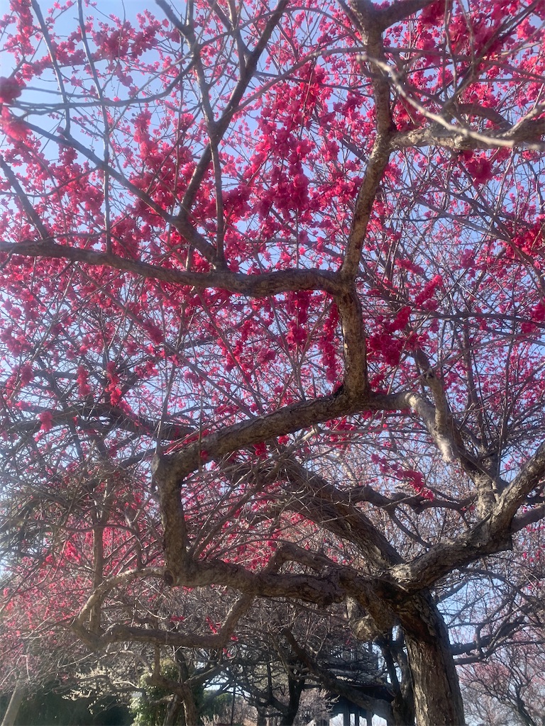 f:id:RE-RE:20230418004906j:image