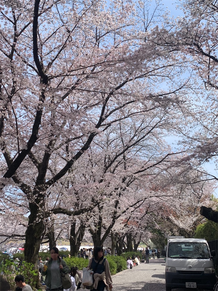 f:id:RE-RE:20230418005617j:image